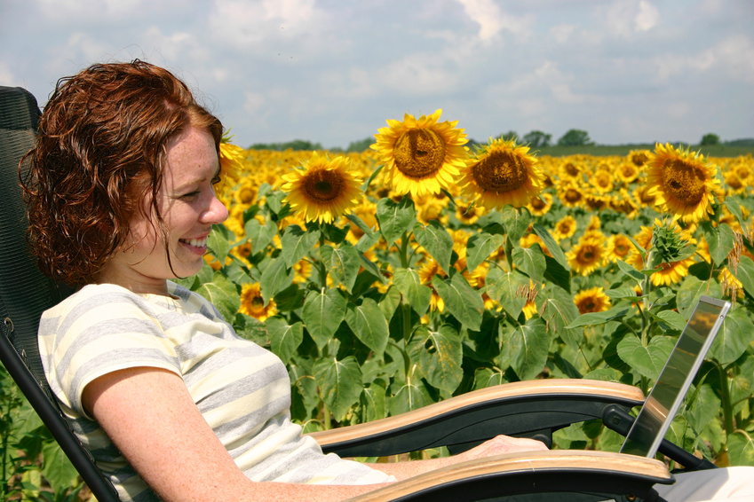 Intellectual Property Training among Sunflower Field